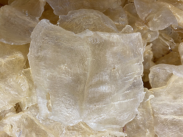 DRIEDFISHMAW